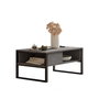 Hanah Home Ml34-Rg Mesa de Centro con Estantes y Estructura Metálica Plata